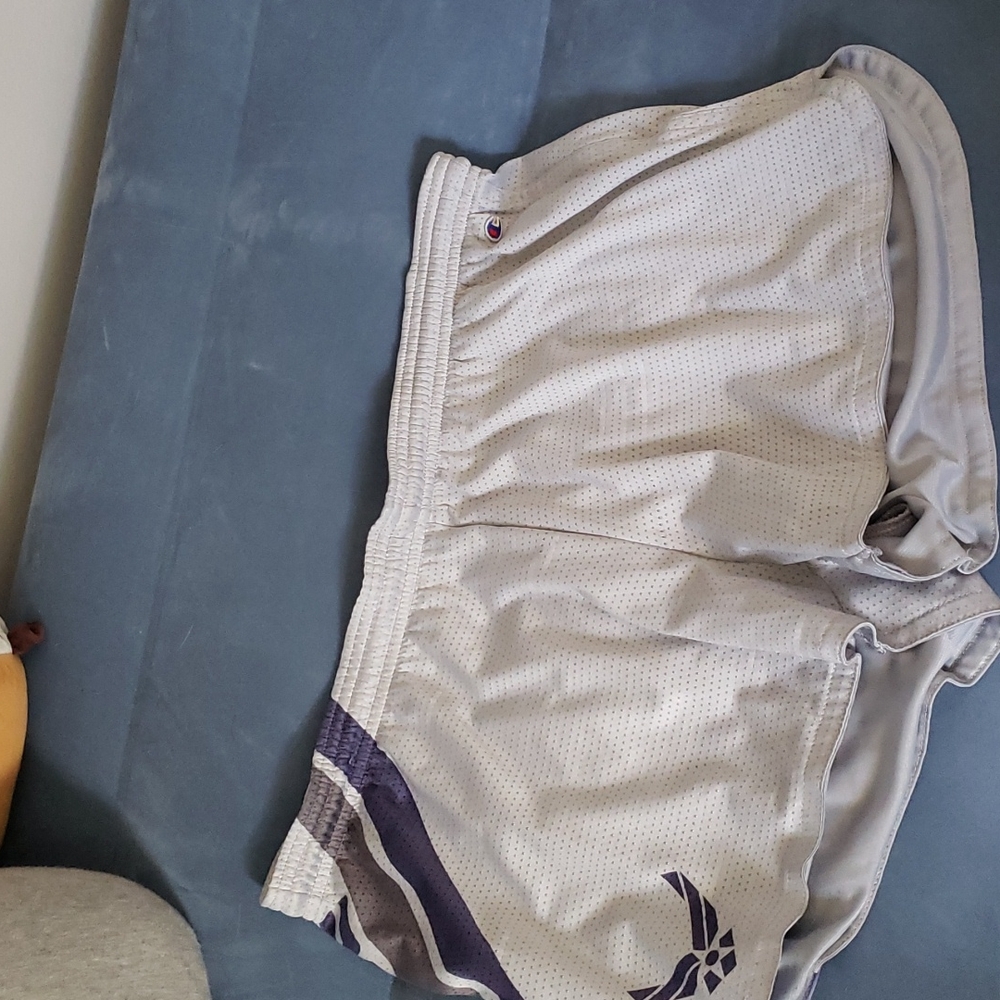 Grey champion air force shorts. few flaws. Size medium. I'm open to offers